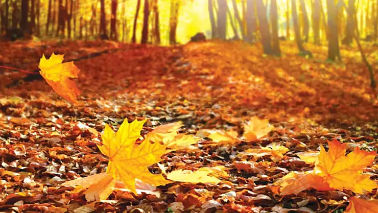 23 Eylül ekinoksu ne anlama geliyor?