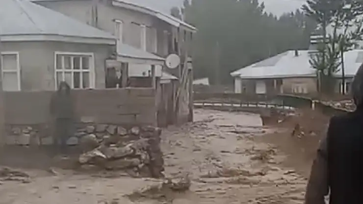 Van'da sağanak sele neden oldu