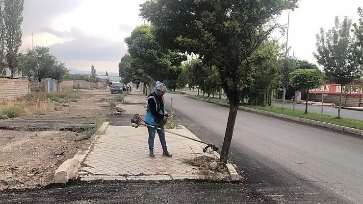 Temiz ve Yeşil Doğubayazıt için çalışıyorlar