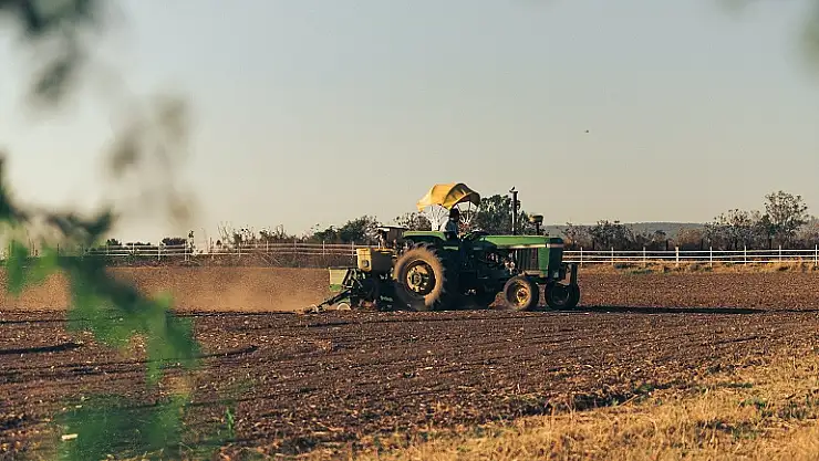 Destekleme ödemeleri bugün çiftçilerin hesabına yatıyor