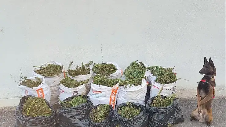 Erzurum'da uyuşturucu operasyonu