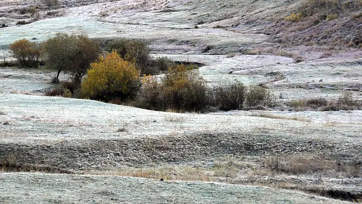 Kars'ta havalar soğudu, kırağı düştü