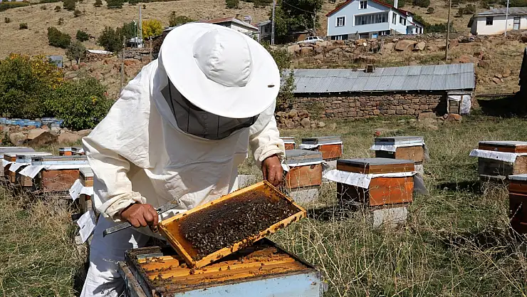 Köyünde 1 kovanla arıcılığa başladı, bu sene 1 ton bal hasadı yaptı