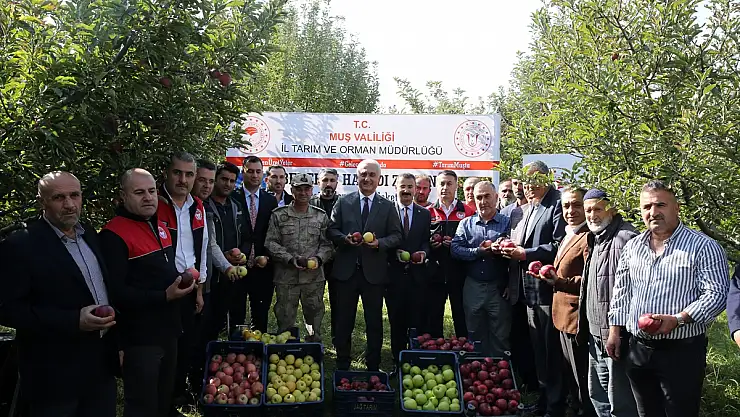 Muş'ta elma hasadı başladı: 25 milyon lira gelir bekleniyor