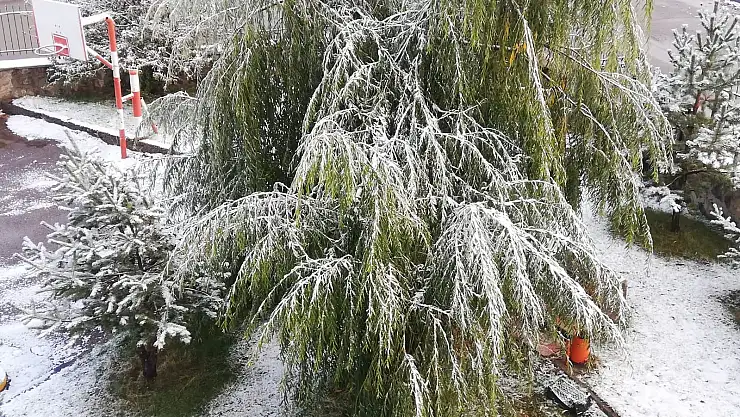 Erzurum kent merkezi de beyaza büründü