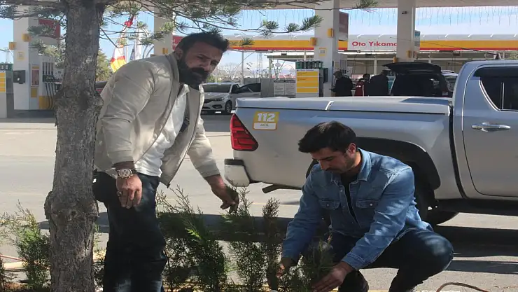 Ağrı Valilik Binası Çevresi Yeşillendiriliyor