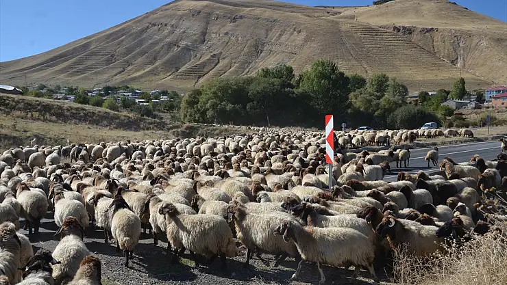 Muş'ta göçerlerin dönüş yolculuğuna başladı