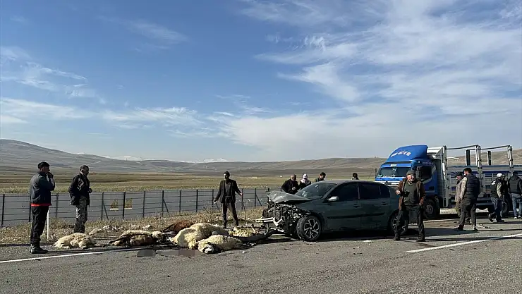 Ağrı'da otomobil küçükbaş hayvan sürüsüne girdi
