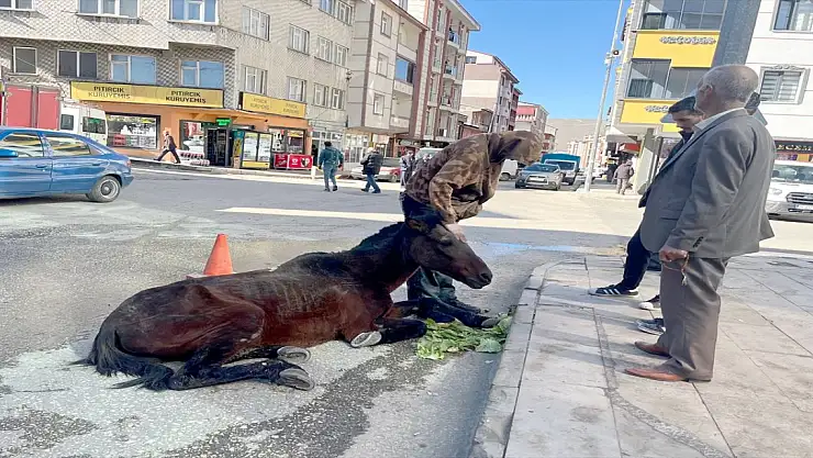Kars'ta Bitkin Düşen Ata Halk Sahip Çıktı
