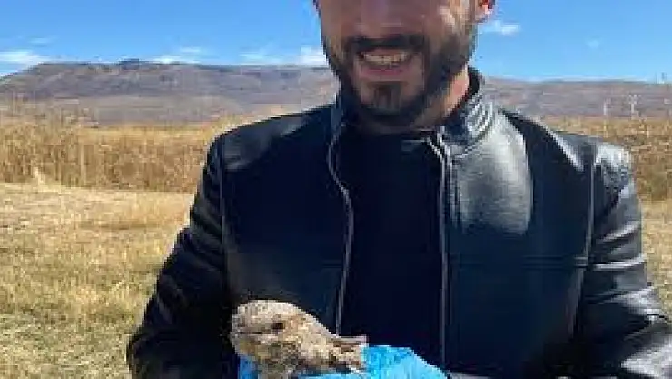 Erzurum'da Tedavisi Biten Çobanaldatan Kuşu Doğayla Kavuştu