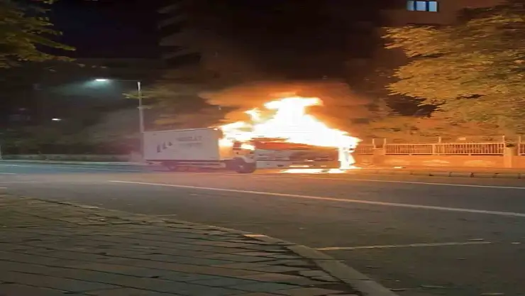 Diyarbakır'da Bir Tır Alevlere Teslim Oldu