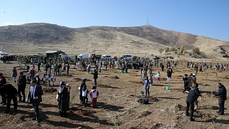 Muş'ta fidanlar toprakla buluşturuldu