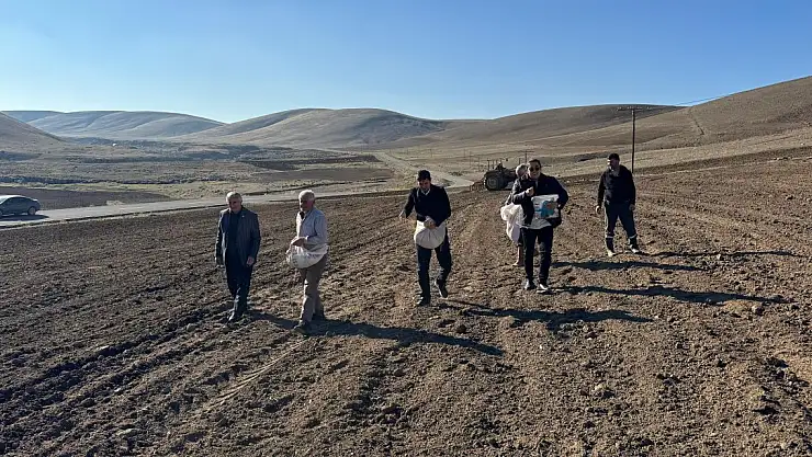 Hamur Kaymakamı Tarlaya Tohum Serpti