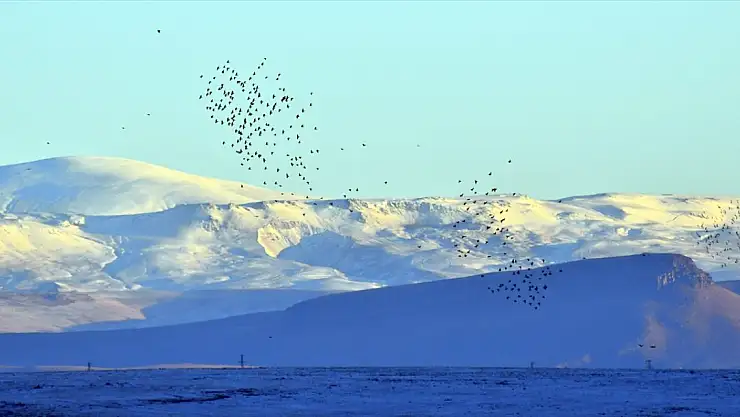 Kars'ın Sarıkamış İlçesi Beyaz Örtüyle Süslendi