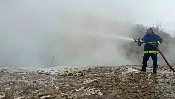 Van'da ev ve ahır alev alev yandı