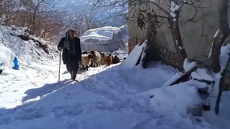 Van'ın Bahçesaray ilçesinde vatandaşların zorlu kış mesaisi başladı