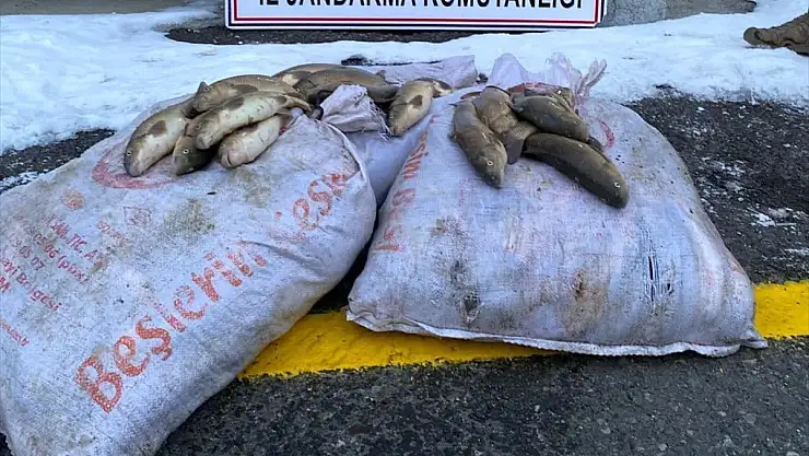 Erzurum'da kaçak balık avlayan 4 kişi yakalandı