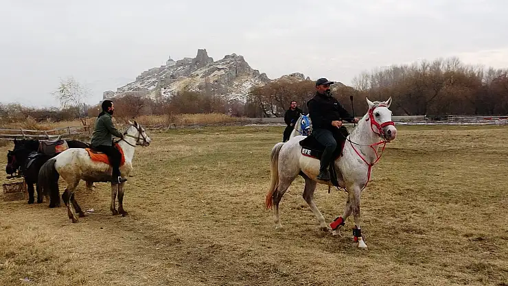 Van'daki at çiftliği her mevsim ilgi odağı oluyor