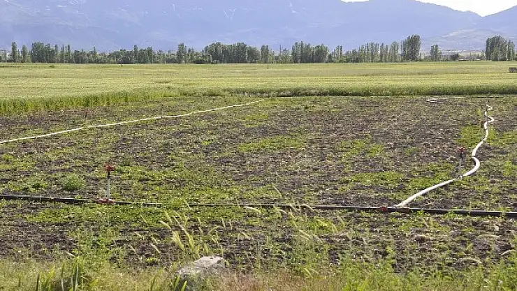 Ağrılı Çiftçi Yağmur Bekliyor!