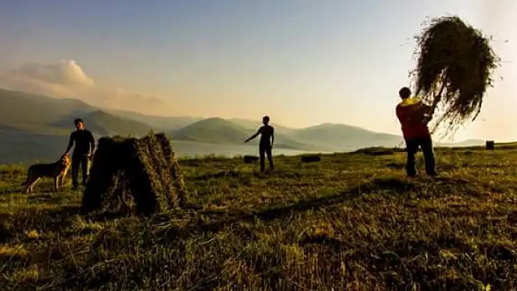 Çiftçinin imdanına yağmur yetişti