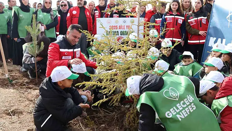 2025 Aile Yılı'nda çiftlikte fidan dikimiyle Aile Hatıra Ormanı kuruldu