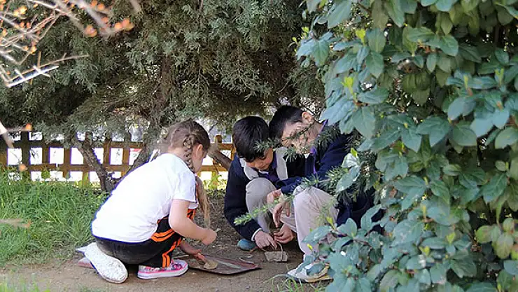 Okullarda doğa dersleri artıyor