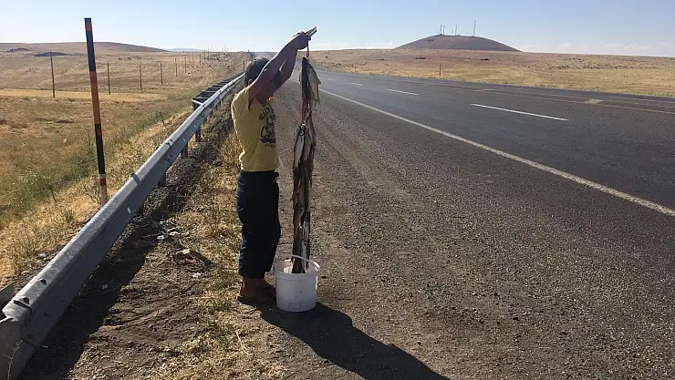 Derelerden tutup, yol kenarında satıyorlar