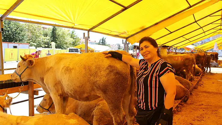 Ağrı'dan Giden Kadın Besici İlgi Odağı Oldu