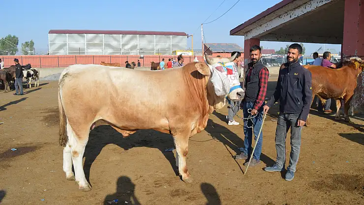 Besicilerin Umudu Son Günde
