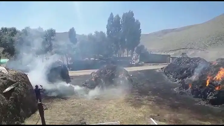 Ağrı'da bir köyün otu küle döndü