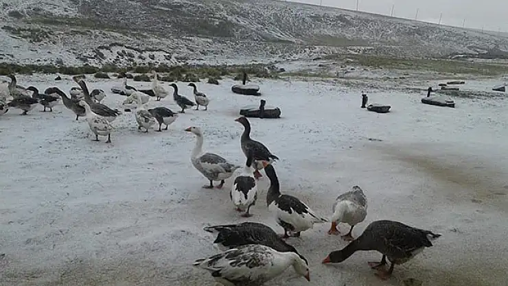 Yüksek kesimlere kar yağdı
