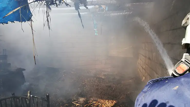 Doğubayazıt'ta yangın paniğe neden odlu