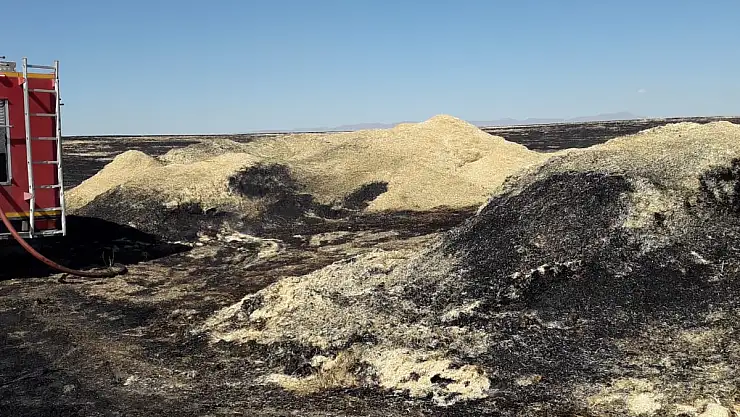 Ağrı'da on binlerce ton ot ve saman küle döndü