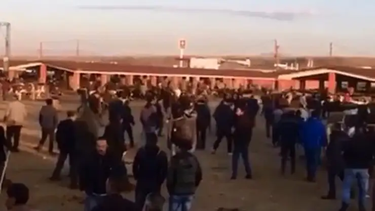 Ağrı'da, hayvan pazarında taşlı sopalı kavga