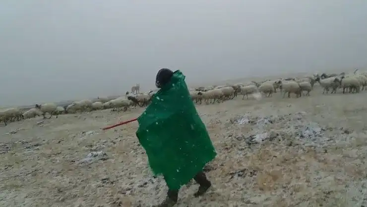 Ağrı Diyadin'de Çobanlar sürüleriyle tipiye yakalandı