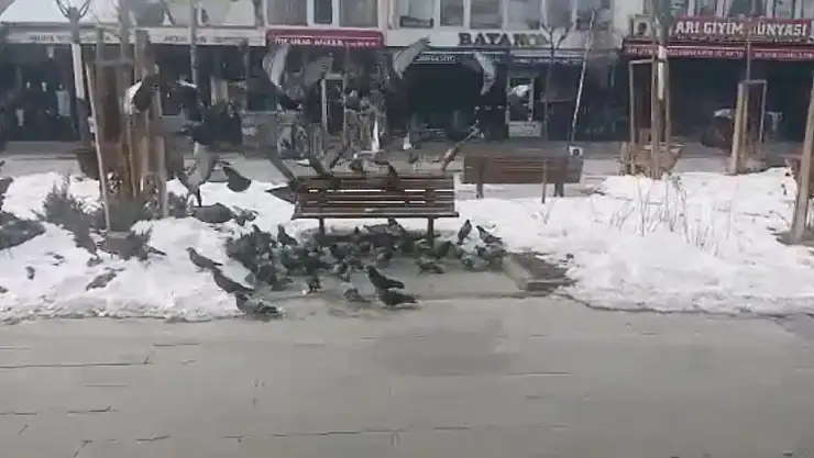 Aç kalan kuşların karnını esnaf doyuruyor