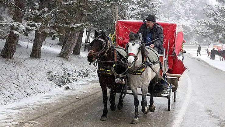 Bolu'ya tatilci akını