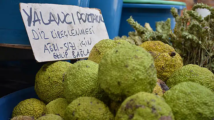 Yalancı portakal şifa saçıyor