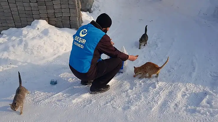 Ağrı Beşir Derneği Sokak Hayvanlarını Unutmadı