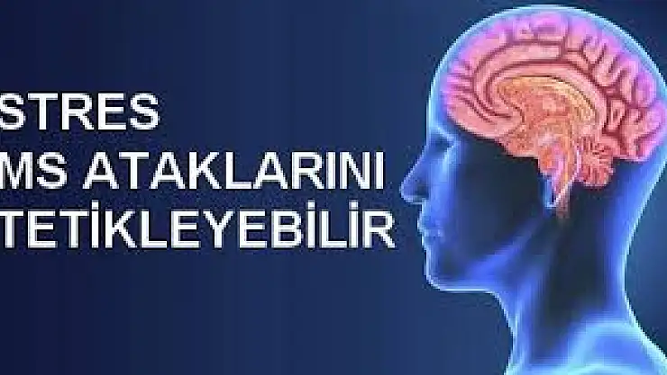 Stres MS hastalığını tetikliyor! MS hastalığı nedir? Hastalığının belirtileri nelerdir?