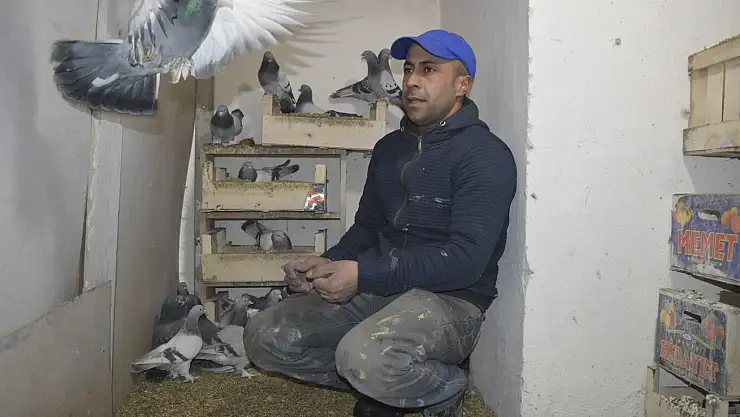 Güvercinlerle yatıp kalkıyor