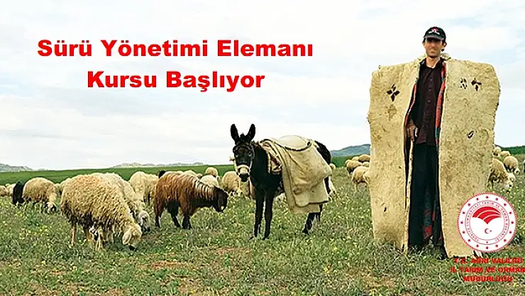 Sürü Yönetimi Elemanı Kursu Açılacak