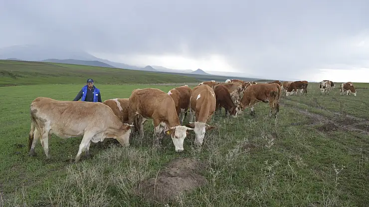 Ağrılı çiftçiler üretime devam ediyor