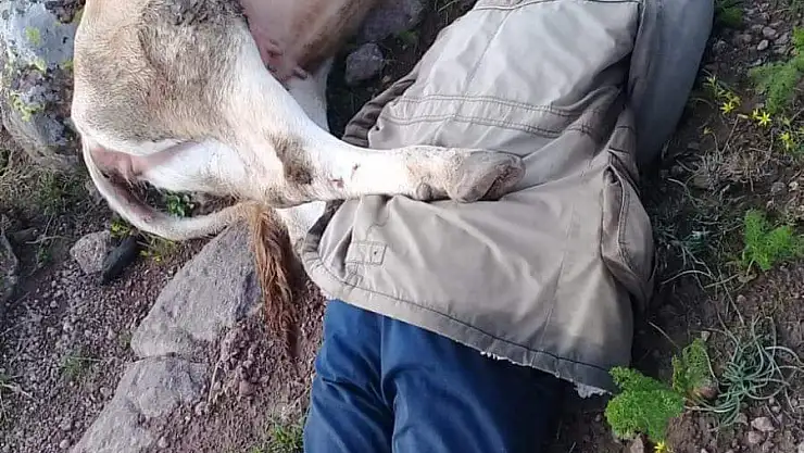 Patnos'ta yıldırım düştü 1 ölü