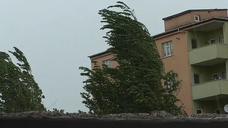 Doğubayazıt'ta sağanak ve fırtına etkili oldu