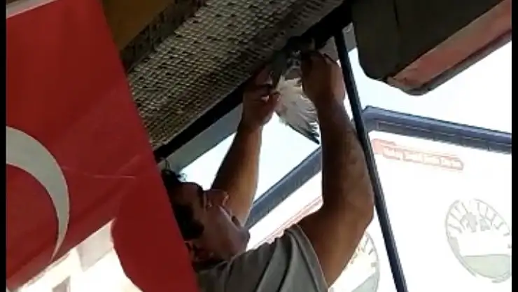 Dükkân Tabelasına Sıkışan Güvercin itfaiye ekiplerince kurtarıldı