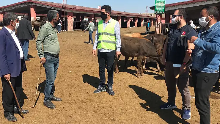 Ağrı'da Karantinayı delenleri valilik affetmedi, 15 bin lira ceza kesildi