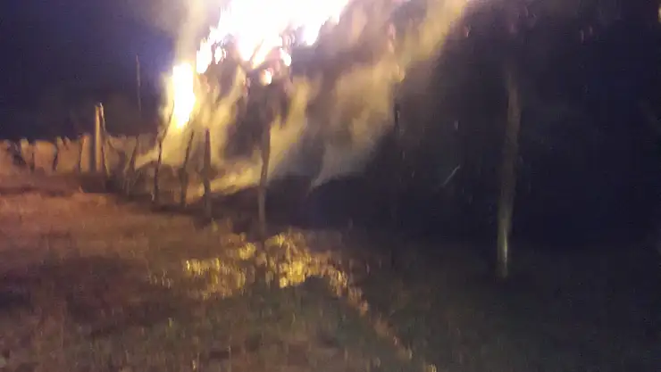 Ağrı'da 50 ton ot ve saman kül oldu