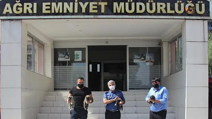 PÖH'ün yanında görev alacak 10 kangaldan 4'ü Ağrı'ya getirildi