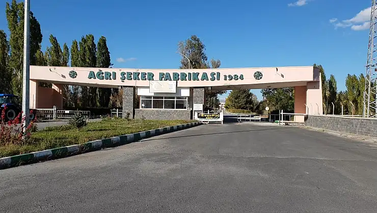 Ağrı Şeker Fabrikası 36 yıldır pancarı şekere dönüştürmeye devam ediyor